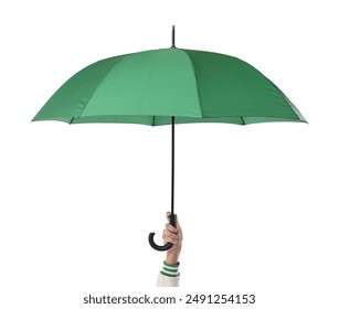 伊人久久青青草综